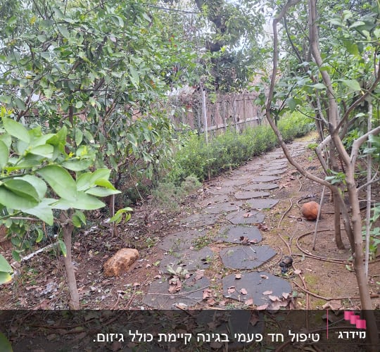 שביל גינה עם עצים וצינור השקיה